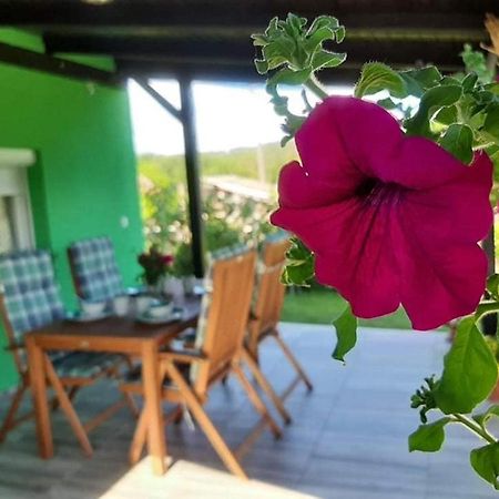 Ruralna Kuca Za Odmor Viktorija Villa Caglin Buitenkant foto