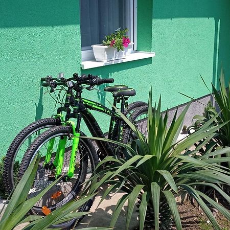 Ruralna Kuca Za Odmor Viktorija Villa Caglin Buitenkant foto