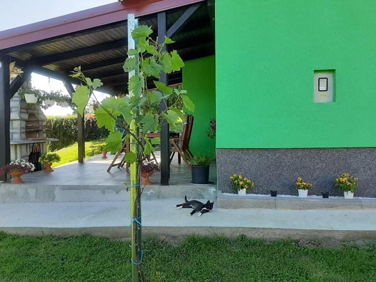 Ruralna Kuca Za Odmor Viktorija Villa Caglin Buitenkant foto