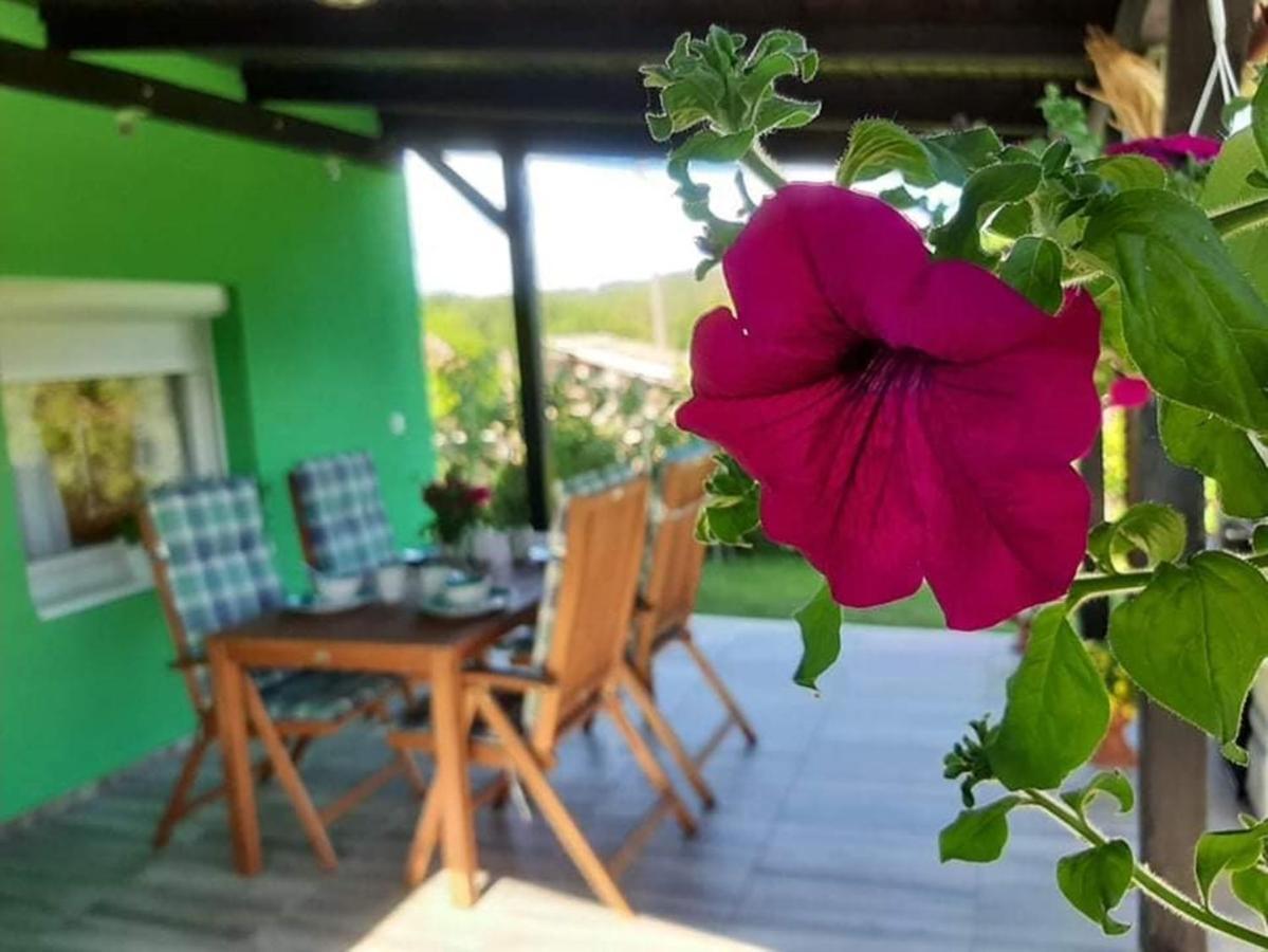 Ruralna Kuca Za Odmor Viktorija Villa Caglin Buitenkant foto
