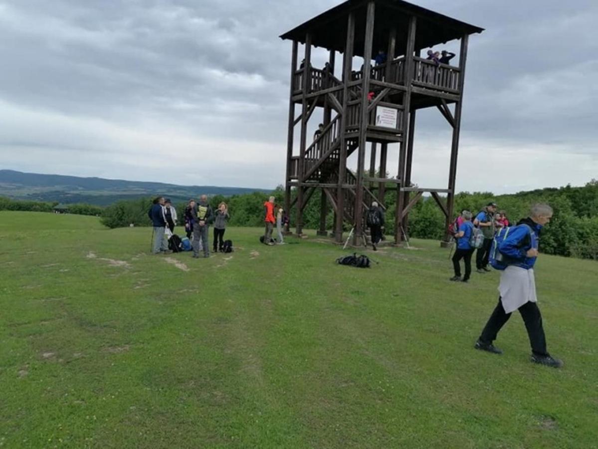 Ruralna Kuca Za Odmor Viktorija Villa Caglin Buitenkant foto